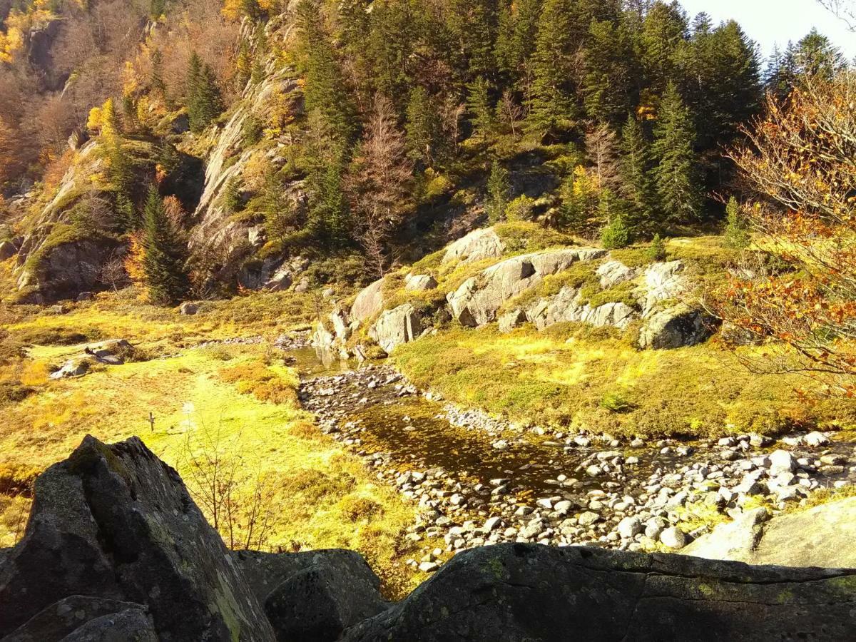 Appartement A La Montagne Aulus-les-Bains Eksteriør billede